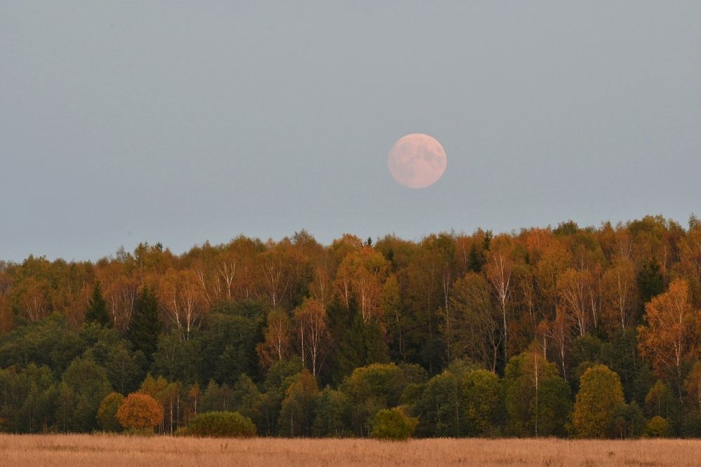 Photograph by Максим Рати