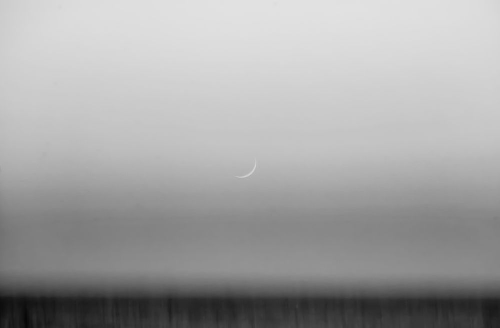 Photograph by Teresa Molinaro