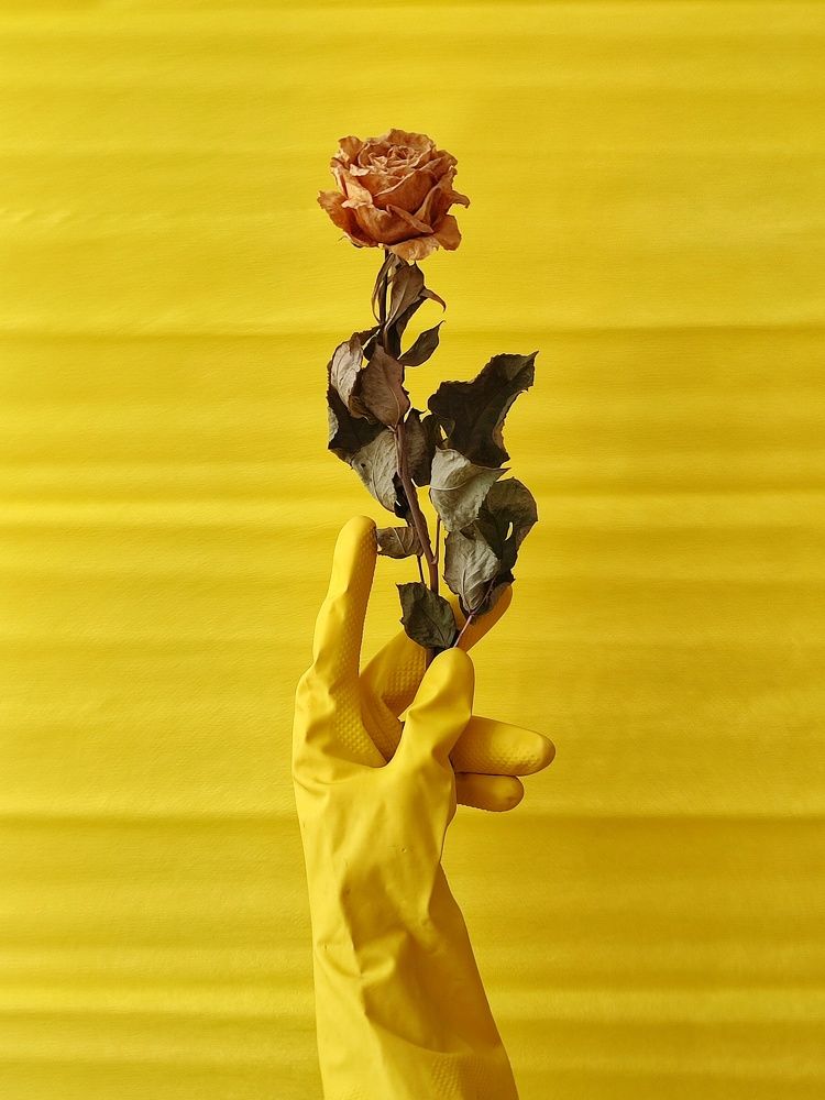 Photograph by Olga Gorokhova