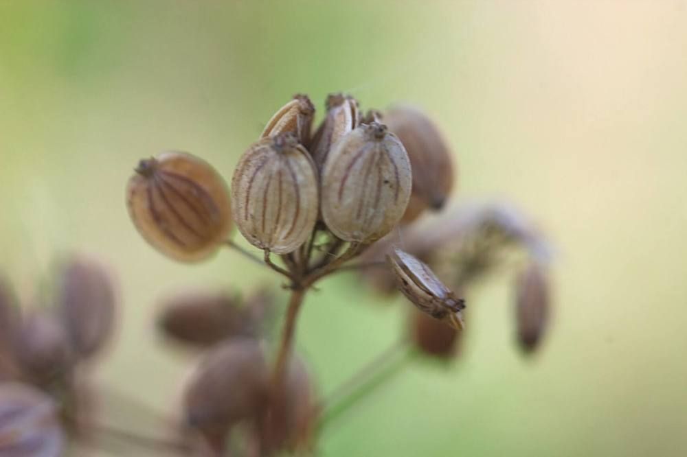 Photograph by Евгений Беленков