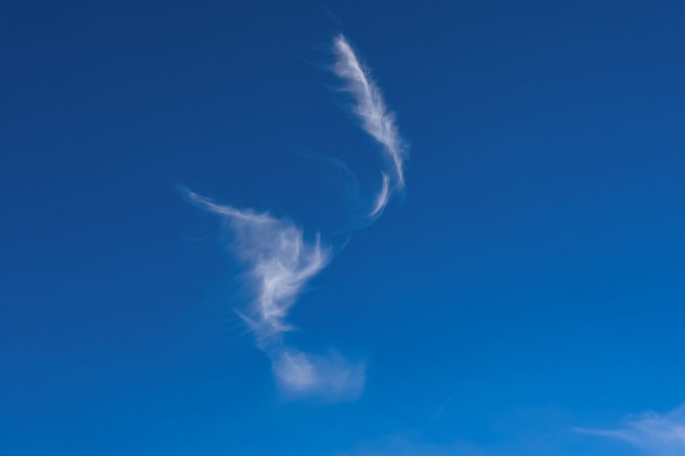 Photograph by Teresa Molinaro