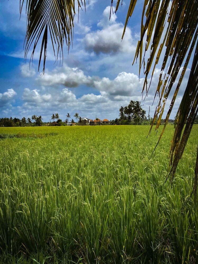 Photograph by Иван Весельников