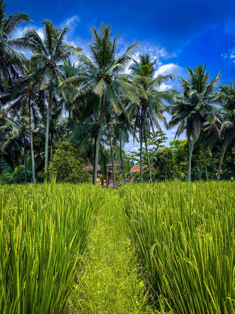 Photograph by Иван Весельников