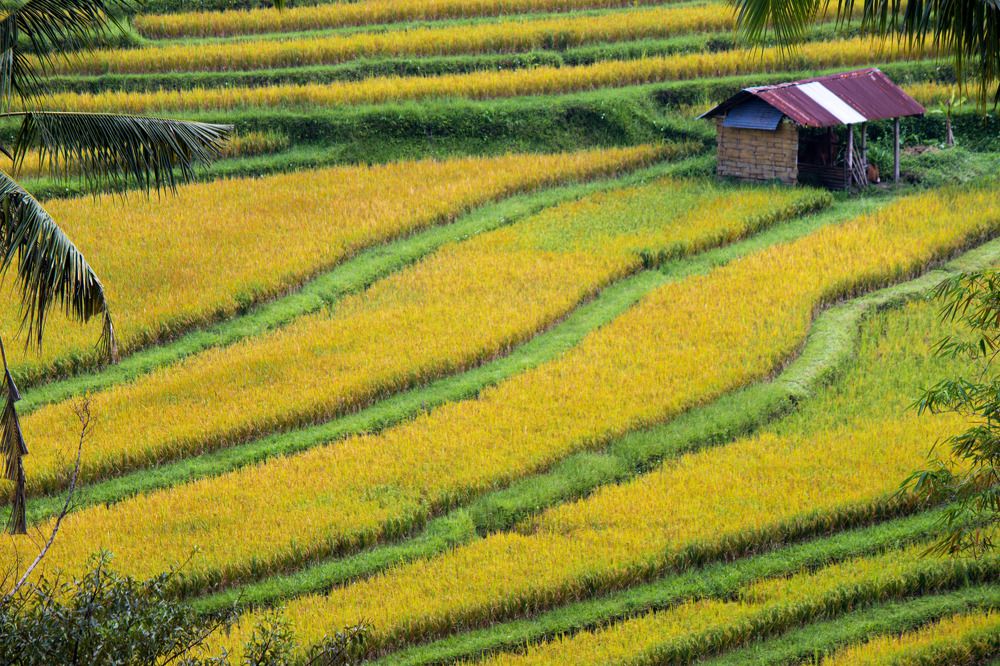 Photograph by Иван Весельников