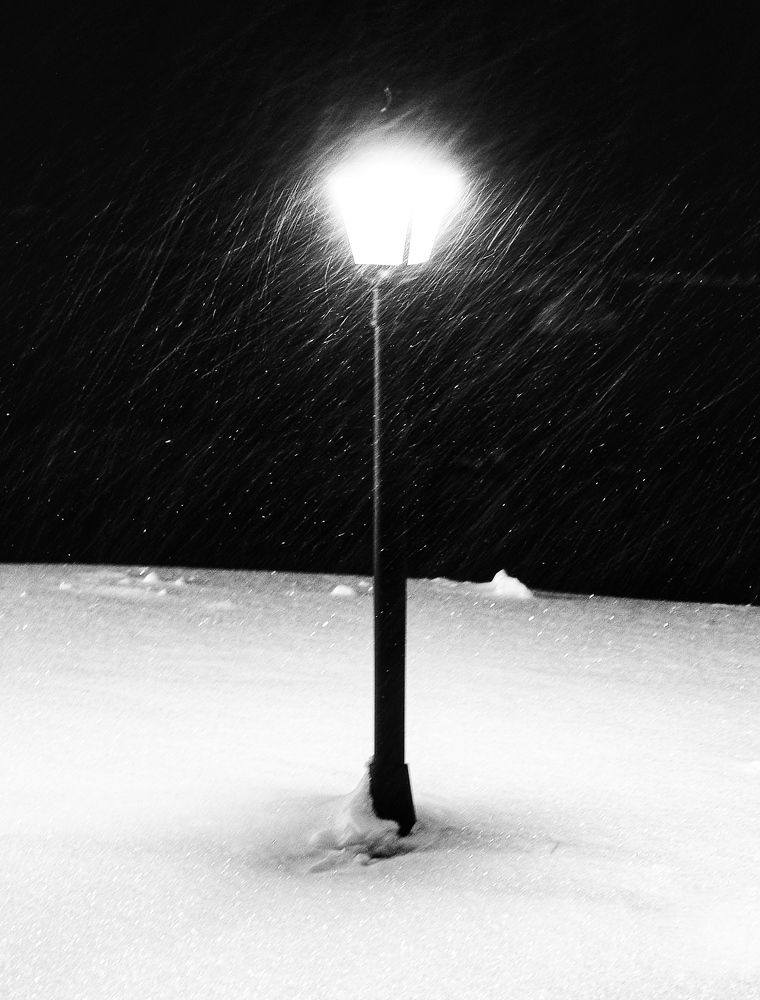 Photograph by Александр Шандов