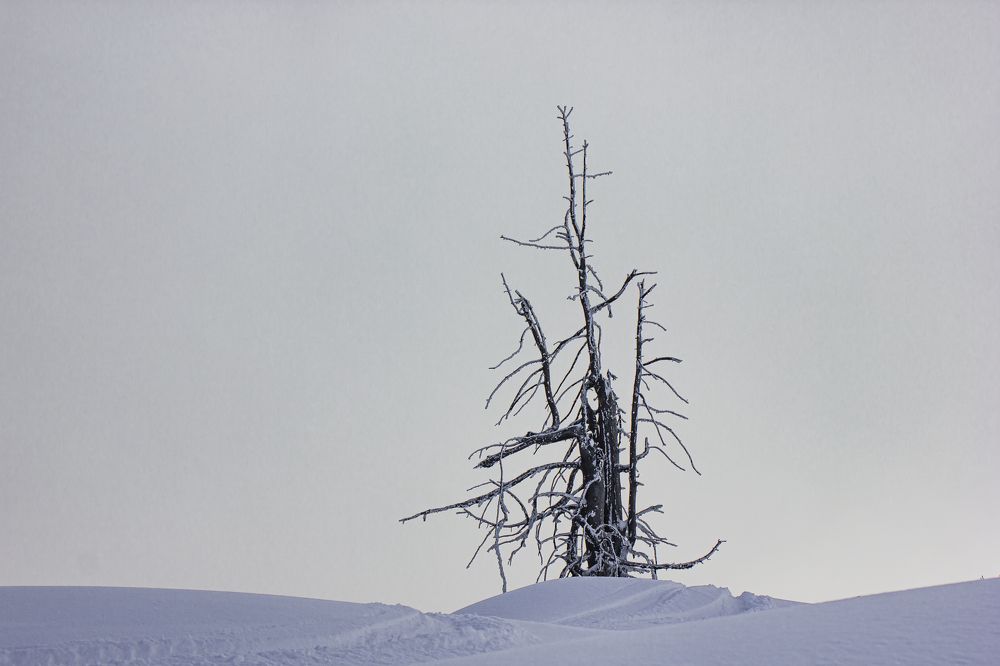 Photograph by Елена Павлова