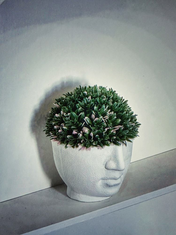 Photograph by Evgenia Privalova