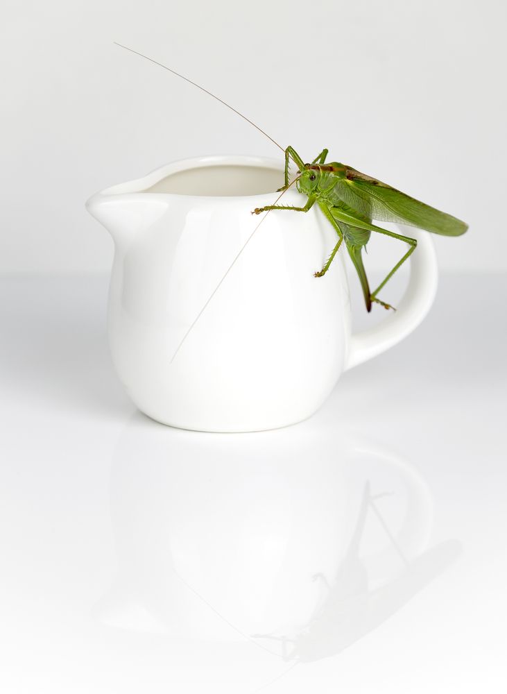 Фотография автора Евгений Печенин