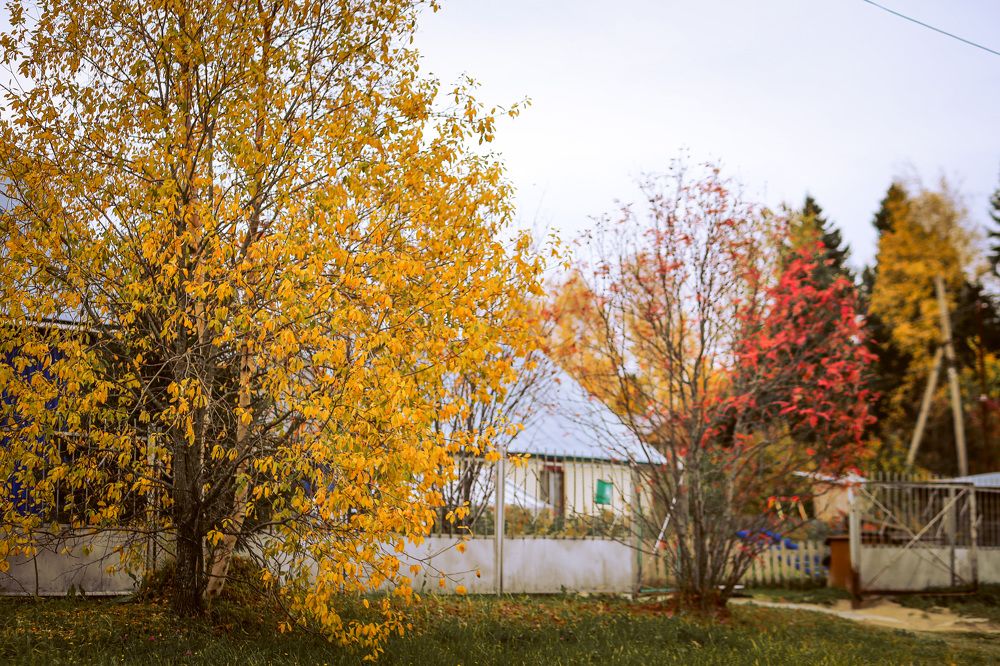 Photograph by Кристина Субоч