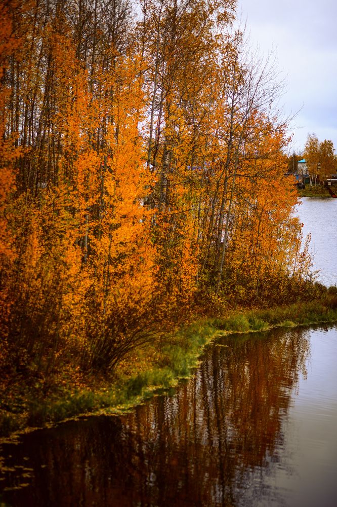 Photograph by Кристина Субоч