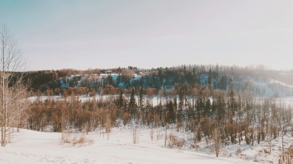 Photograph by Илья Шевелев