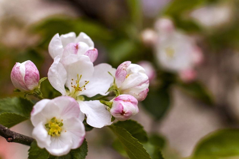 Photograph by Людмила Новосёлова