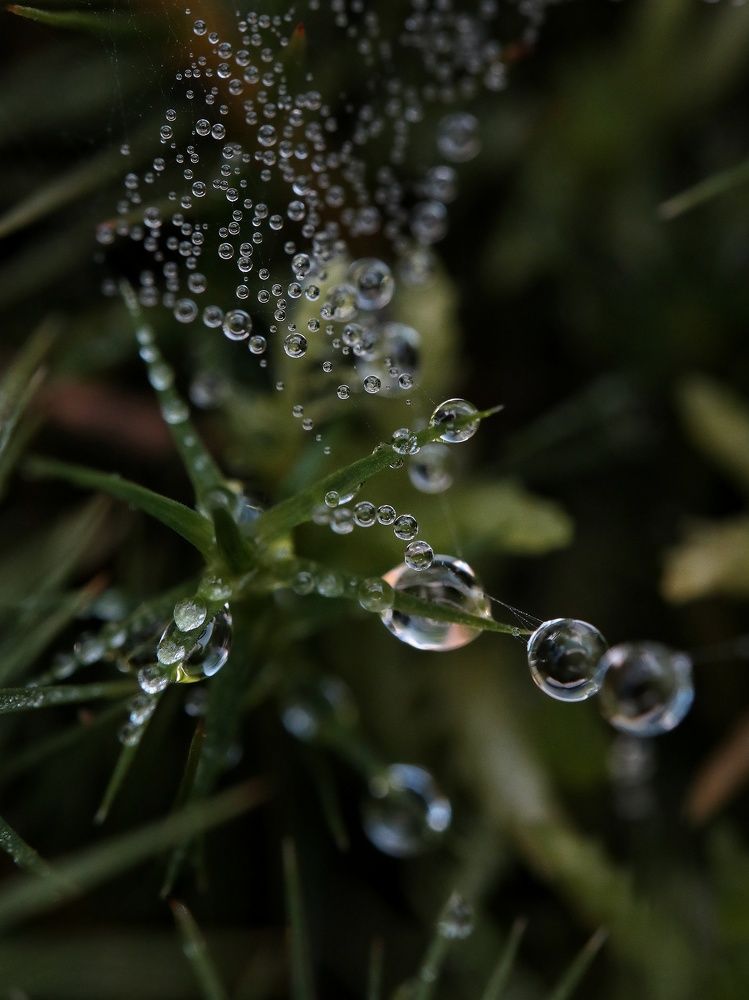 Photograph by Ирина Корабельникова