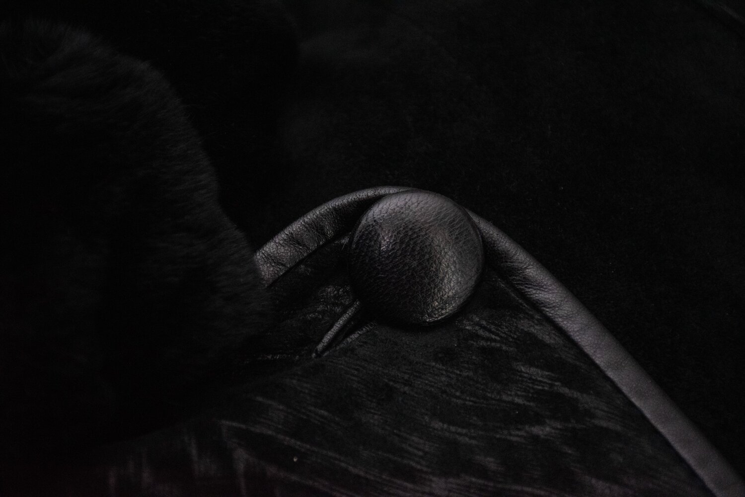 Photo #9613339