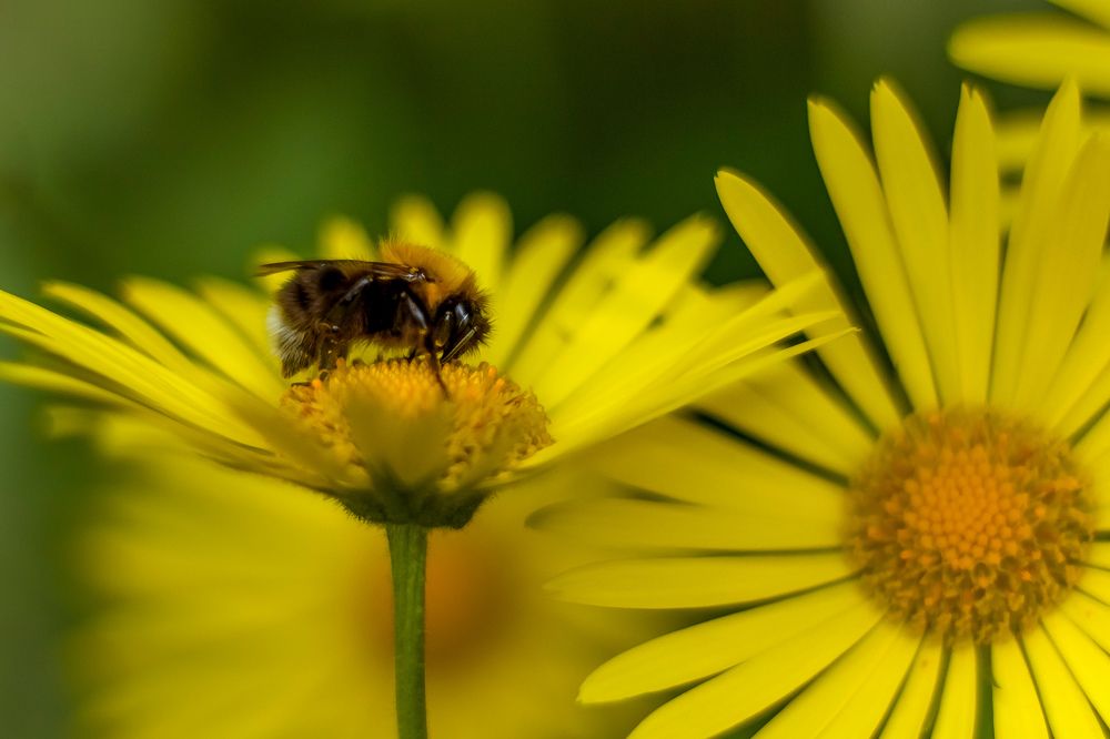 Photograph by Людмила Новосёлова