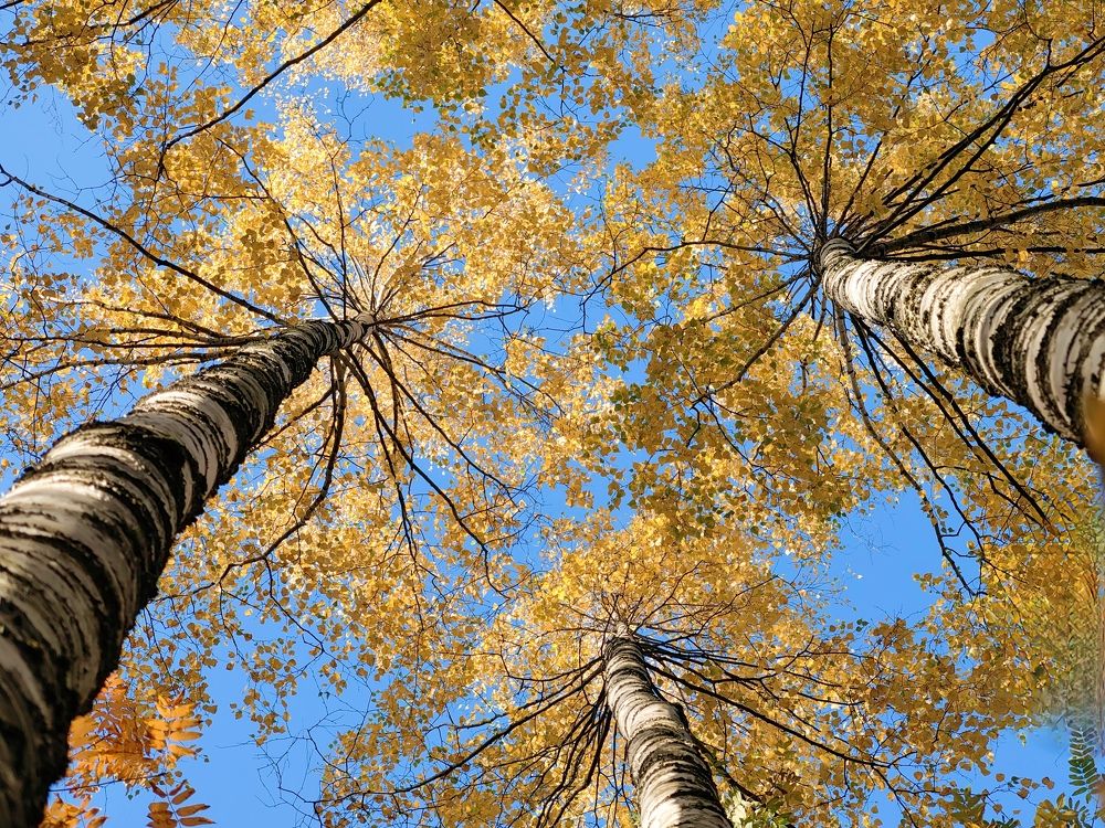 Photograph by Maiya Bulatova