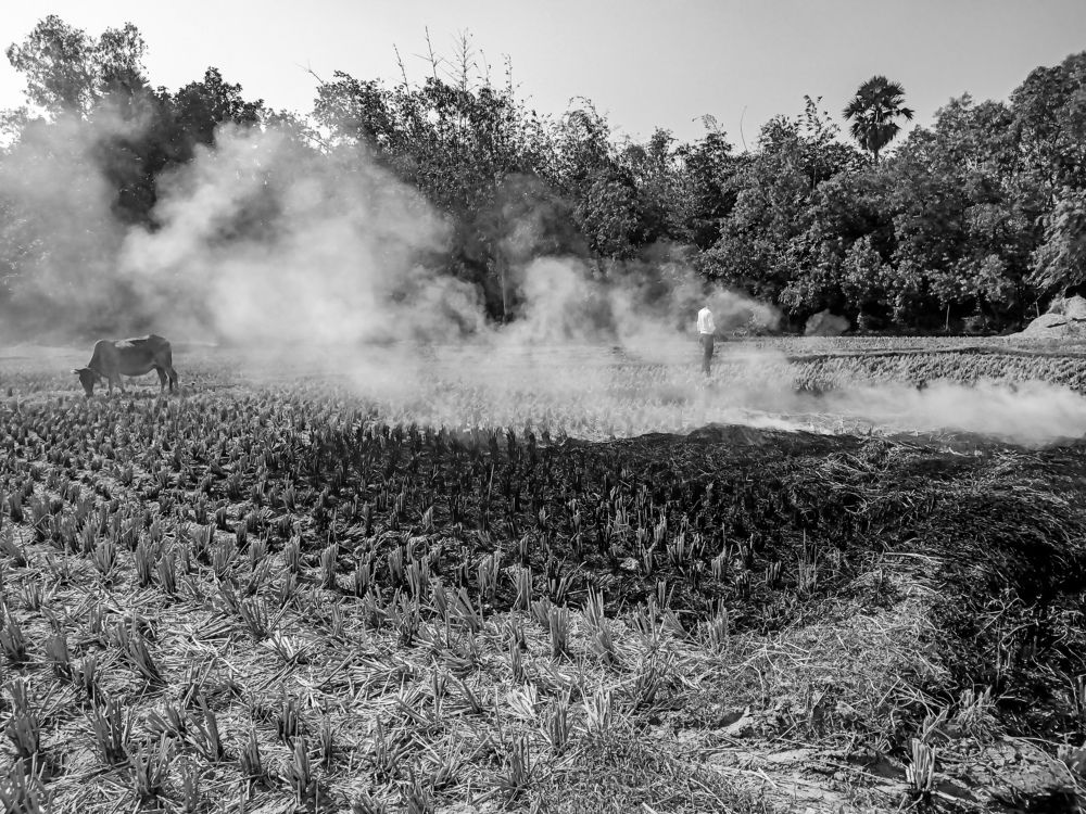 Photograph by Souvik Bhattacharyya