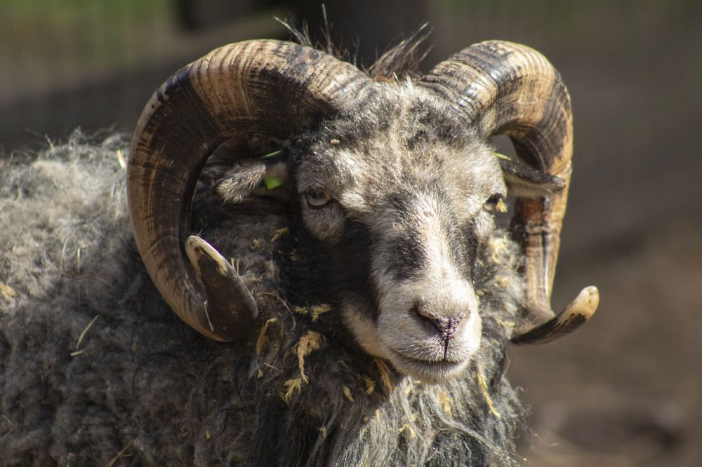 Фотография автора Edīte Ogorodnikova