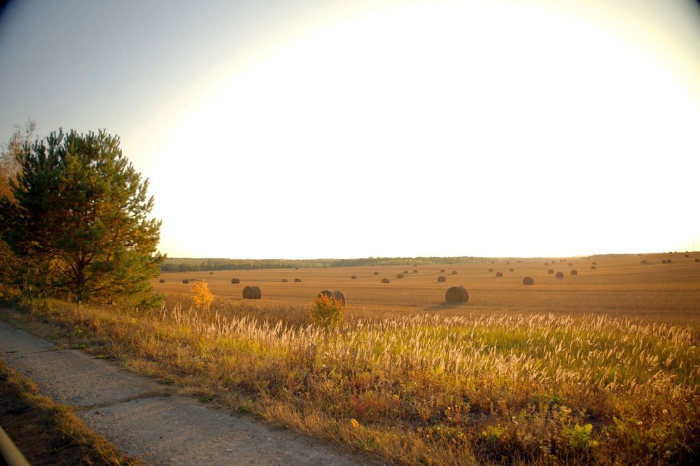 Photograph by Оксана Кочкова