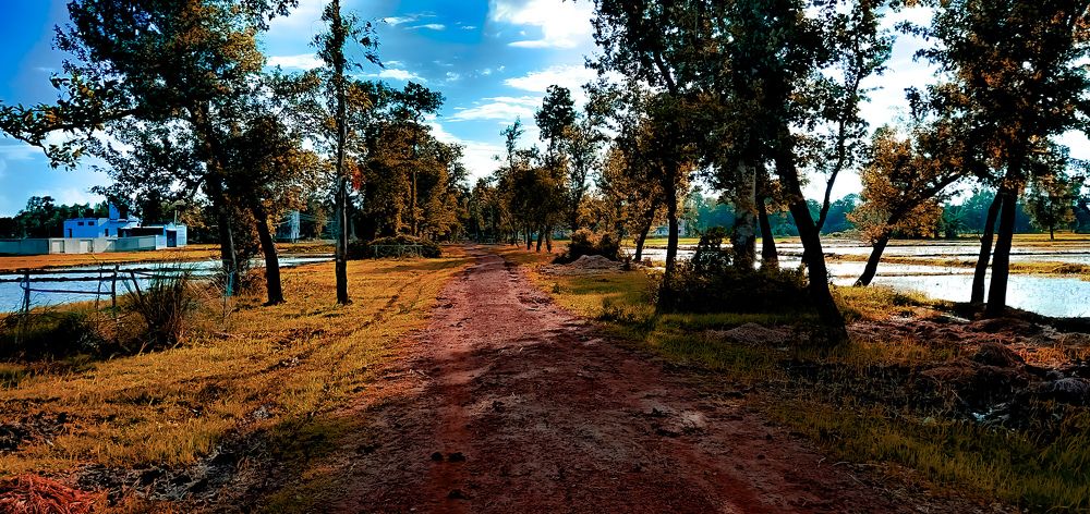 Photograph by Souvik Bhattacharyya