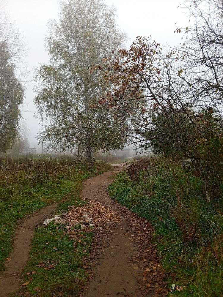 Photo #9613456