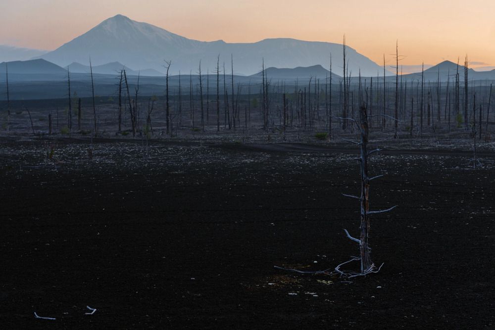 Photograph by Крицак Ольга