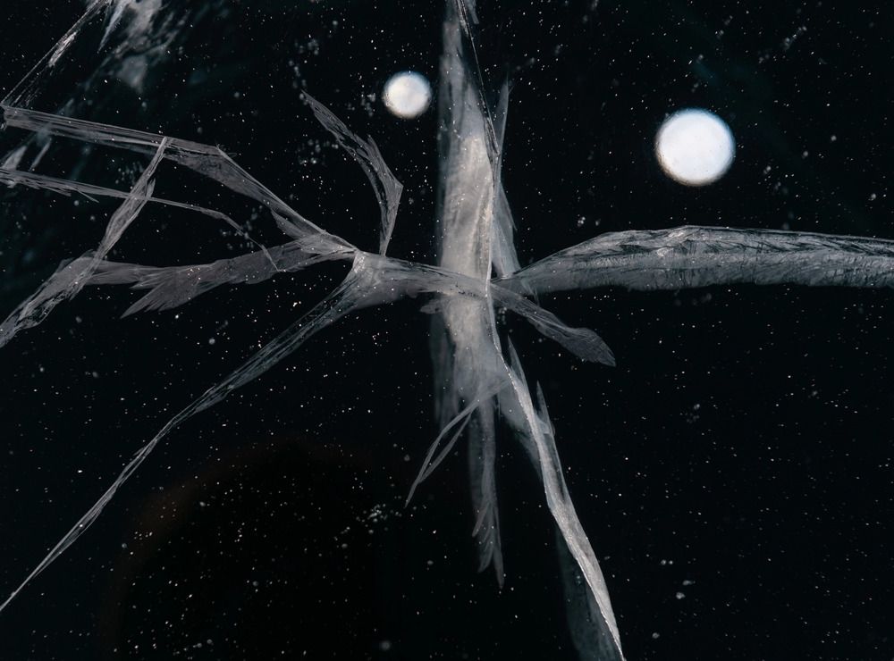 Photograph by Крицак Ольга