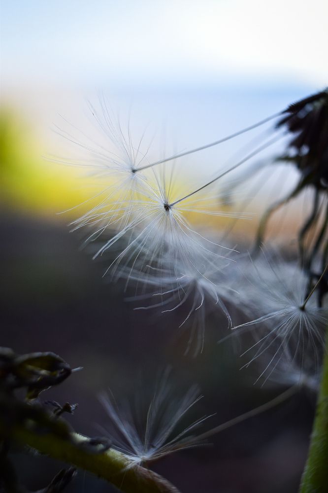 Photograph by Елена