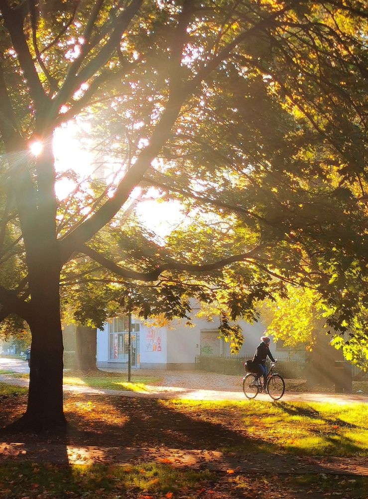 Photograph by Palina Mikhailouskaya