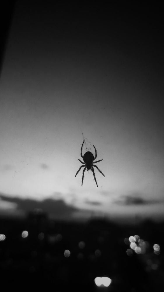 Photograph by Наталья Калюнова