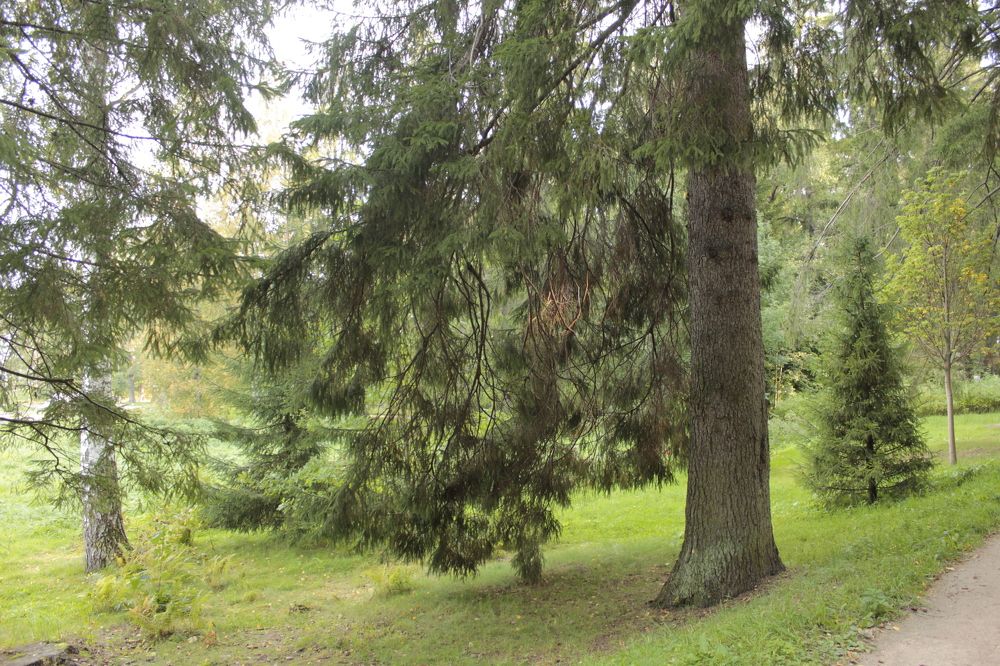 Photograph by Лев Марков