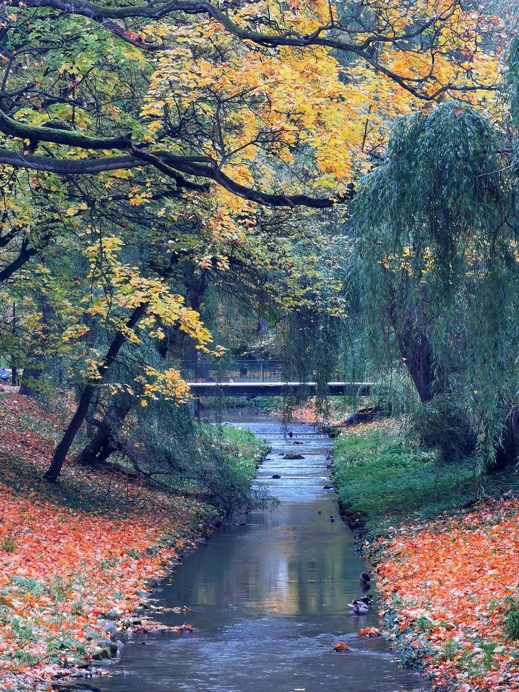 Photograph by Palina Mikhailouskaya