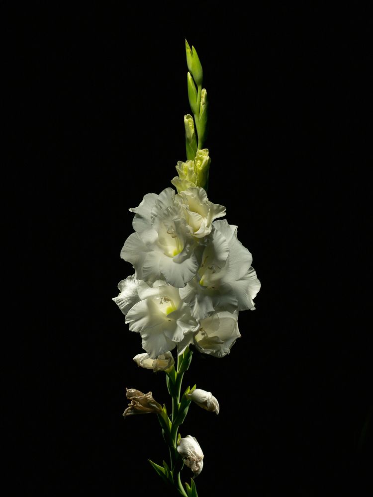 Photograph by Андрей Егоров