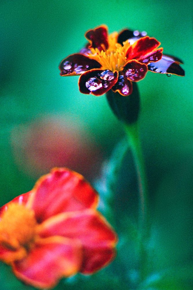 Photograph by Андрей Егоров