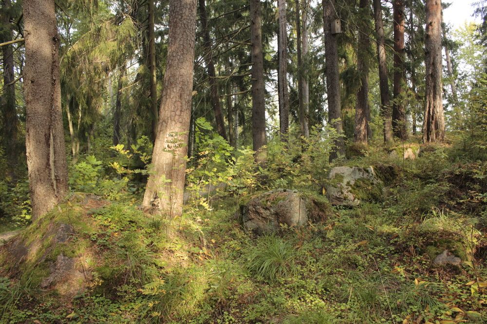 Photograph by Лев Марков