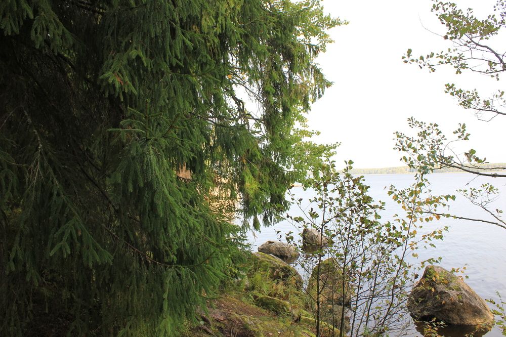 Photograph by Лев Марков