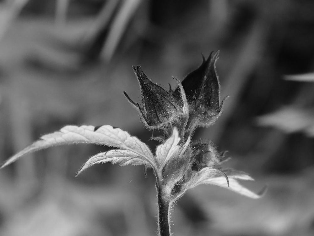 Photograph by Елена Харитонова