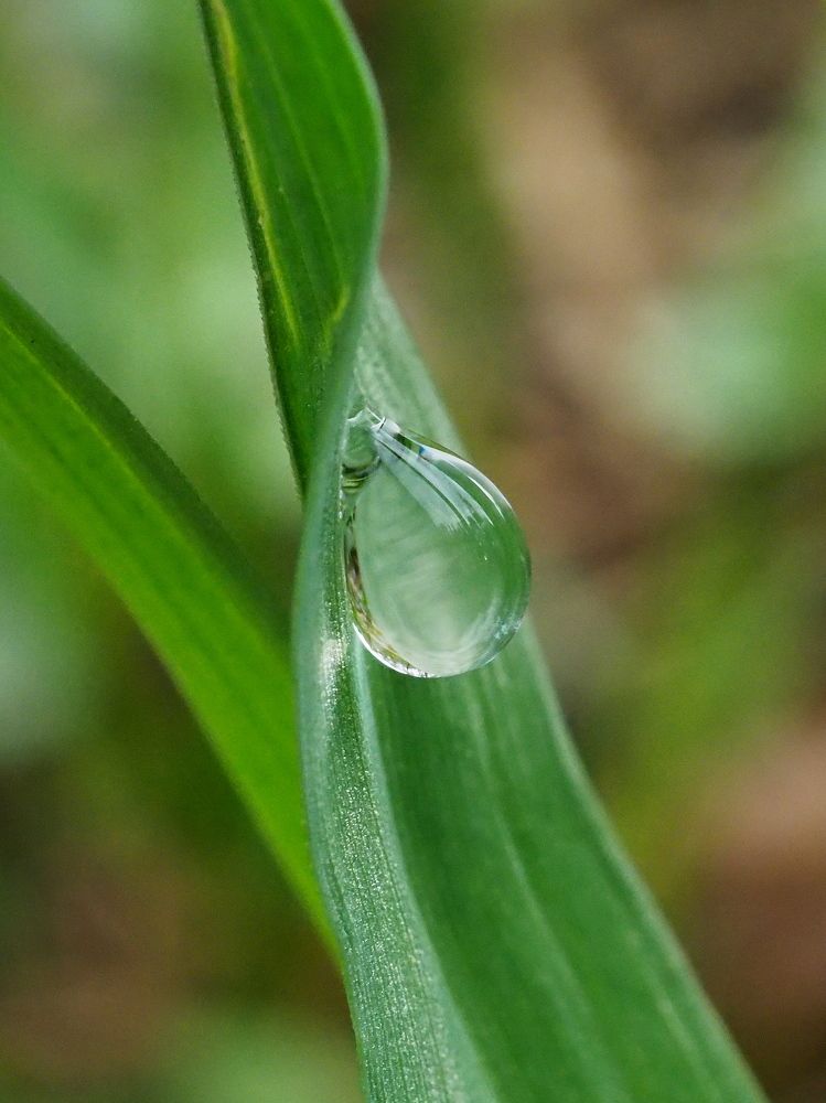 Photograph by Елена Харитонова