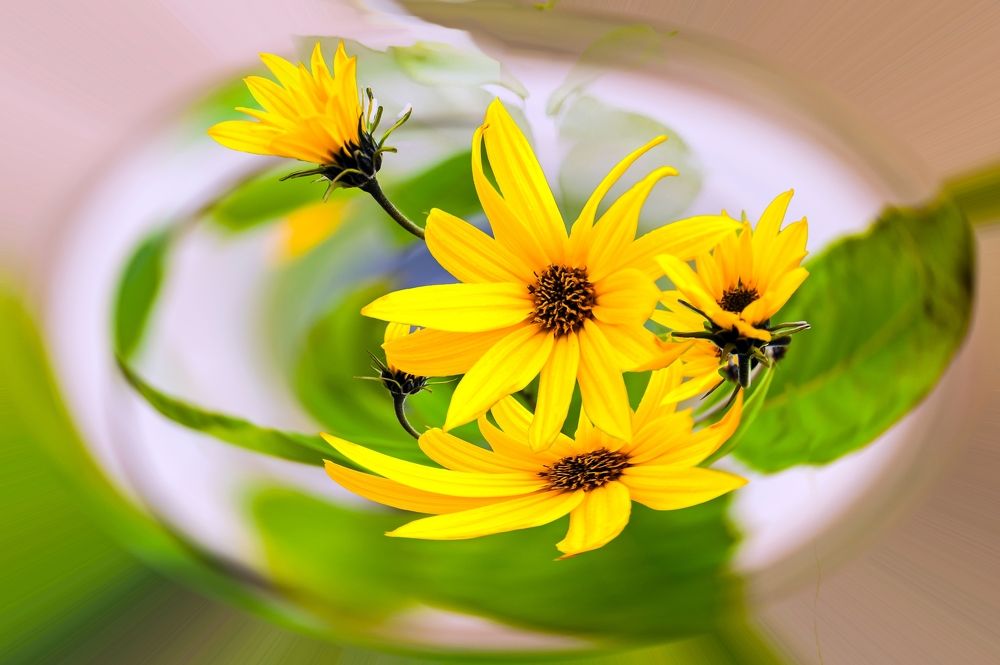 Photograph by Valery Kleymenov