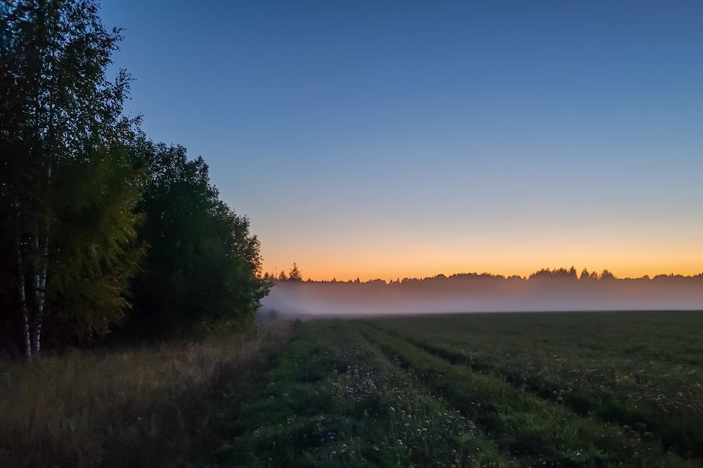 Надвигающийся туман