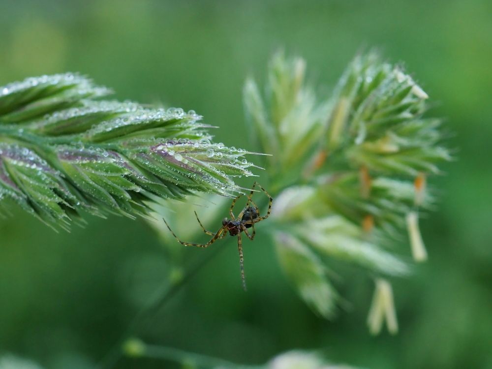 Photograph by Елена Харитонова