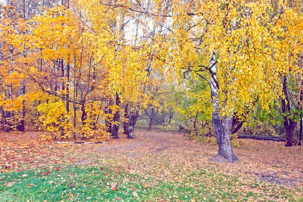 Photograph by Valery Kleymenov