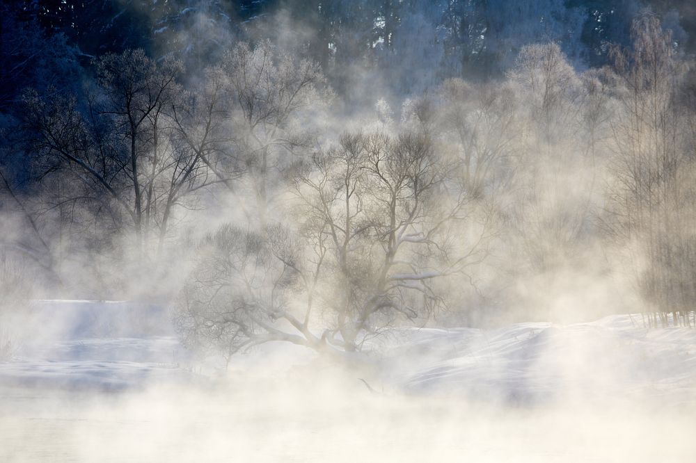 Photograph by Александр Шандов