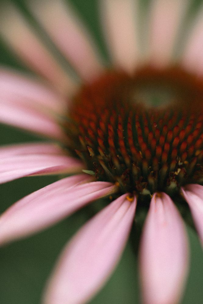 Photograph by Индира Кузнецова