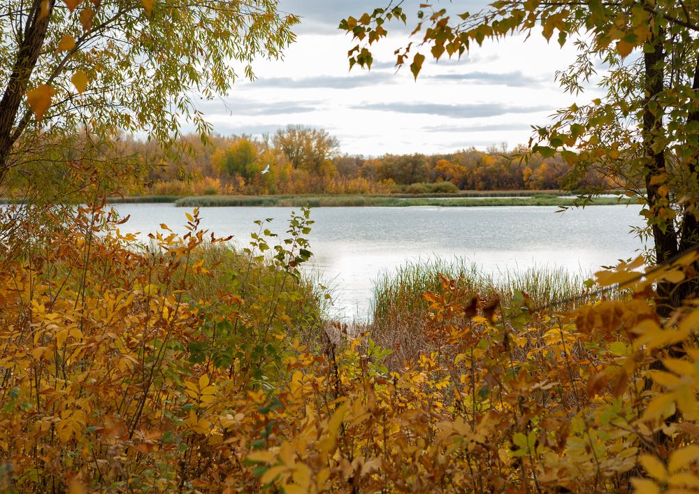 Photograph by Ольга Остапенко