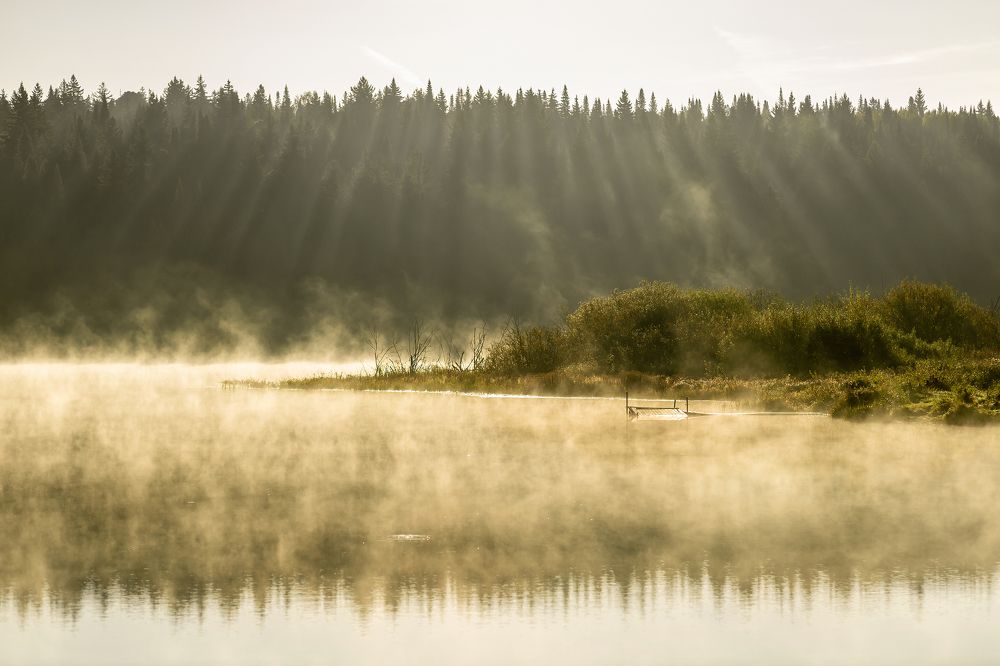 Photograph by Анна Бальц