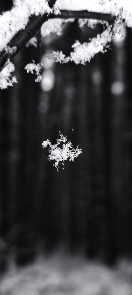 Фотография автора Васильева Ирина