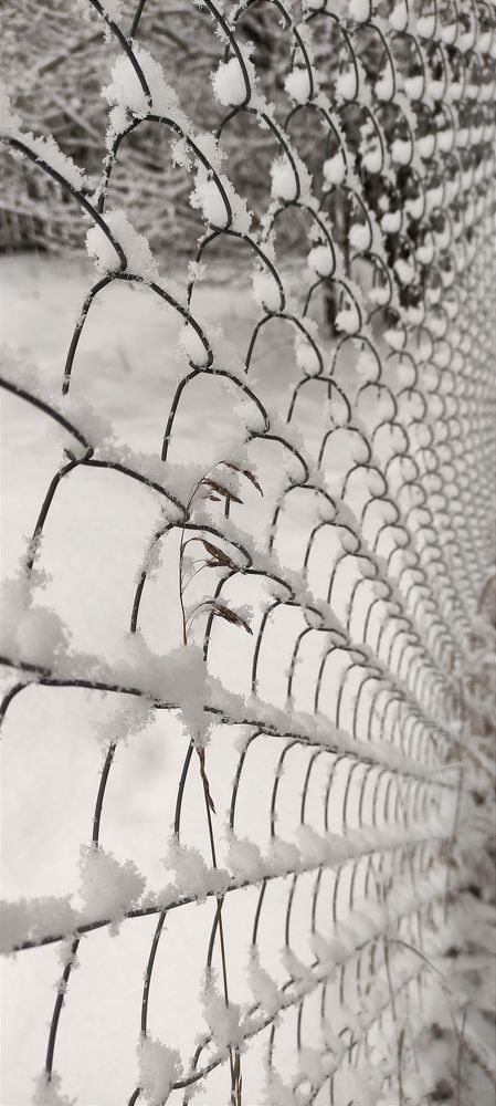 Фотография автора Васильева Ирина