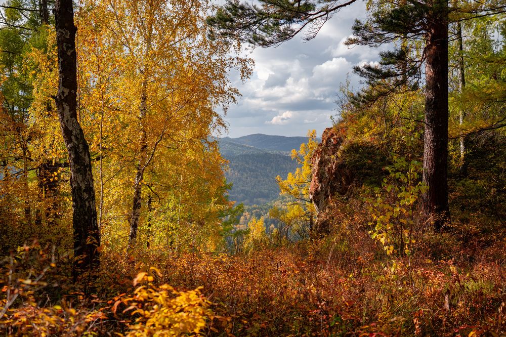 Photograph by Роман Достовалов