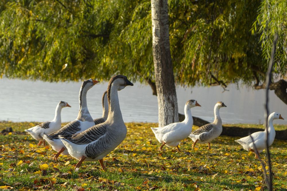 Фотография автора Ирина Зайцева